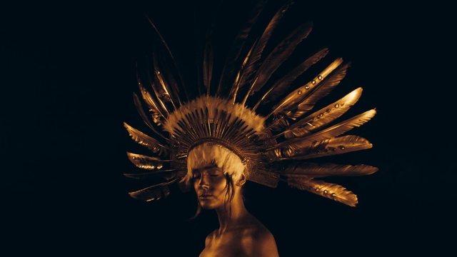 Video Reference: darkness, computer wallpaper, close up, sky, organism, wing, feather, stock photography, cg artwork