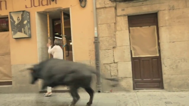 Video Reference: Snout, Bovine, Tradition, Working animal, Bull, Domestic pig, Suidae, Zoo