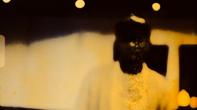 Video Reference: yellow, light, flower, sunlight, darkness