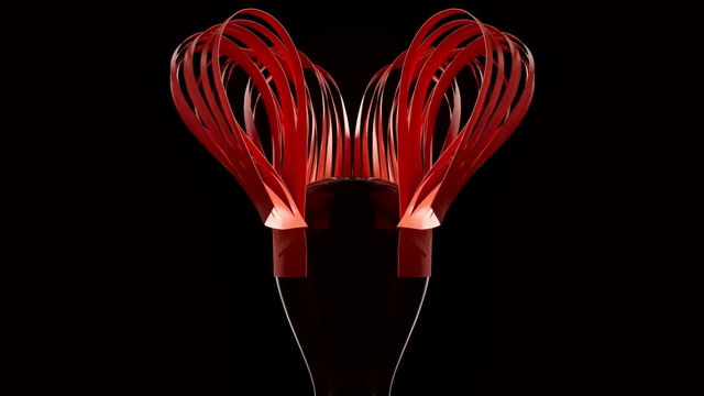 Video Reference: red, light, organ, still life photography, heart, computer wallpaper, darkness, heart, Person