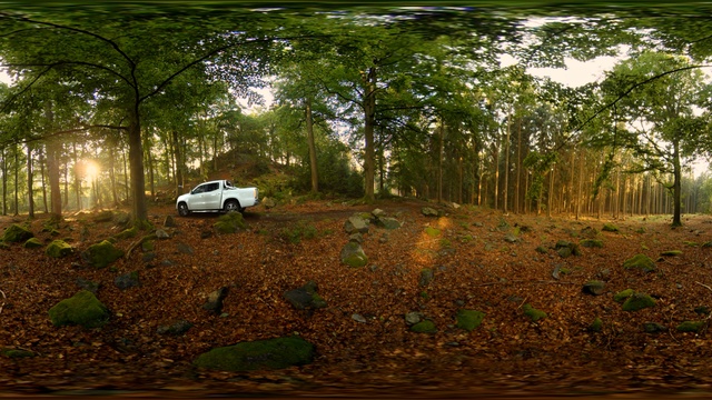 Video Reference: Nature, Natural environment, Woodland, Off-roading, Forest, Vegetation, Jungle, Tree, Biome, Off-road vehicle
