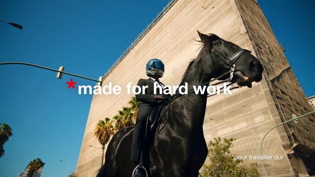 Video Reference: Horse, Statue, Bridle, Monument, Sky, Rein, Stallion, Sculpture, Art, Outerwear