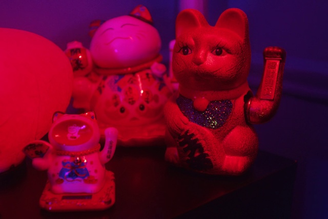 Video Reference: Pink, Red, Light, Purple, Magenta, Toy, Nightlight