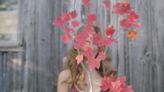 Video Reference: pink, flower, plant, leaf, flora, spring, petal, floristry, branch, flower arranging