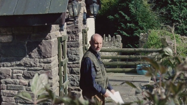 Video Reference: tree, plant, jungle, recreation, Person