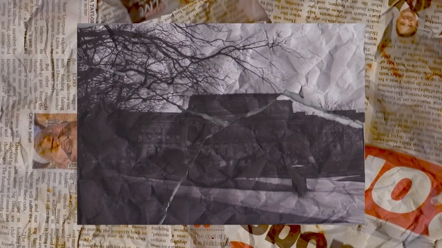 Video Reference: Quilting, Leaf, Art, Textile, Paper, Quilt, Patchwork, Pattern, Craft, Linens
