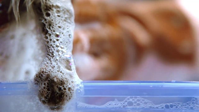 Video Reference: Close-up