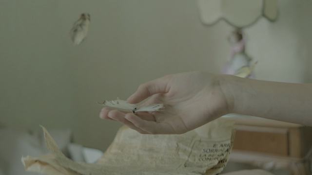 Video Reference: Hand, Finger, Joint, Arm, Room, Plaster, Leg, Gesture