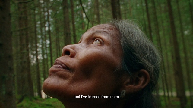 Video Reference: Skin, Head, Natural environment, Human, Nose, Adaptation, Forehead, Forest, Common chimpanzee, Organism