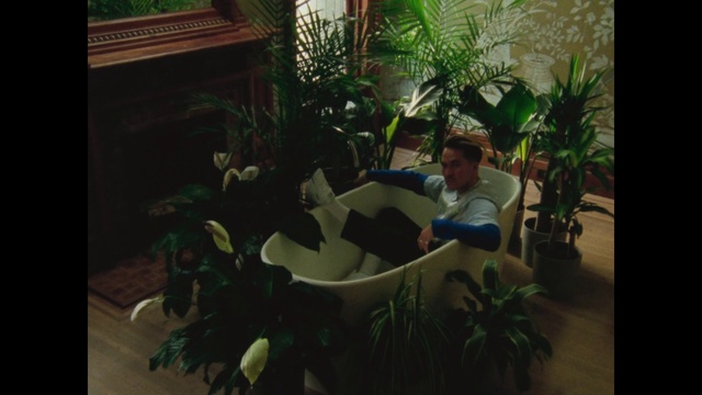 Video Reference: Green, Houseplant, Plant, Leaf, Organism, Adaptation, Flower, Art