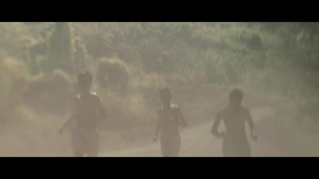 Video Reference: Atmospheric phenomenon, Mist, Atmosphere, Haze, Morning, Sky, Fog, Sunlight, Tree, Photography