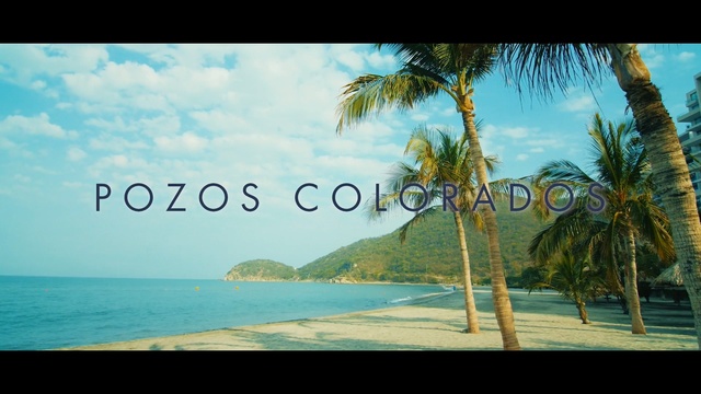 Video Reference: nature, sea, body of water, sky, tropics, caribbean, palm tree, vacation, water, arecales