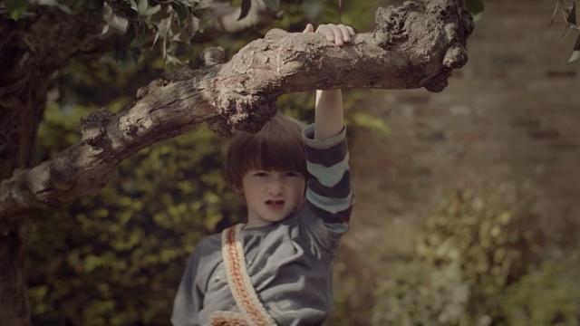 Video Reference: Tree, Child, Adaptation, Woody plant, Toddler, Plant, Trunk, Photography, Branch, Smile, Person