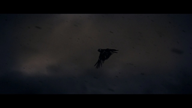 Video Reference: black, sky, atmosphere, darkness, screenshot, computer wallpaper, wing, water