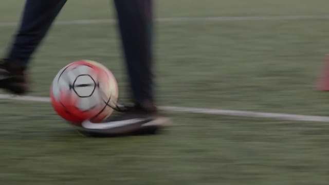 Video Reference: Soccer ball, Football, Ball, Sports equipment, Player, Ball game, Sports, Soccer, Team sport, Sport venue