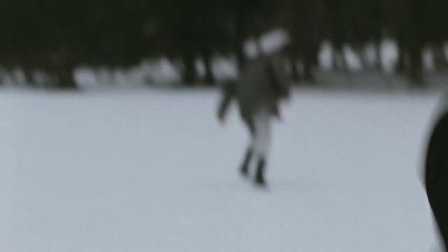 Video Reference: Snow, Winter, Freezing, Geological phenomenon, Blizzard, Winter storm, Footwear, Tree, Ice, Photography, Person