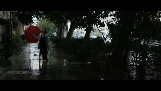 Video Reference: Black, Nature, Photograph, Darkness, Red, Natural environment, Tree, Snapshot, Reflection, Morning, Person