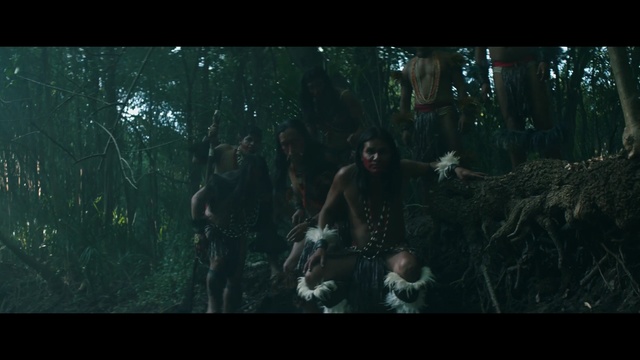 Video Reference: Nature, Forest, Natural environment, Tree, Jungle, Woodland, Darkness, Biome, Old-growth forest, Movie, Person