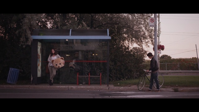 Video Reference: Snapshot, Tree, Photography, Night, Midnight, Street, Screenshot