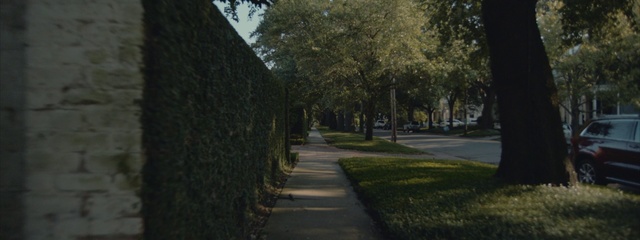 Video Reference: Nature, Tree, Natural landscape, Light, Leaf, Road, Public space, Woody plant, Walkway, Morning