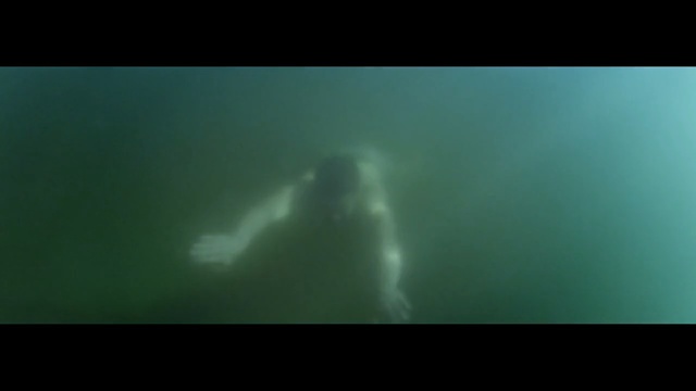 Video Reference: Underwater, Green, Marine biology, Water, Atmosphere, Organism, Darkness, Marine mammal, Fish, Sea