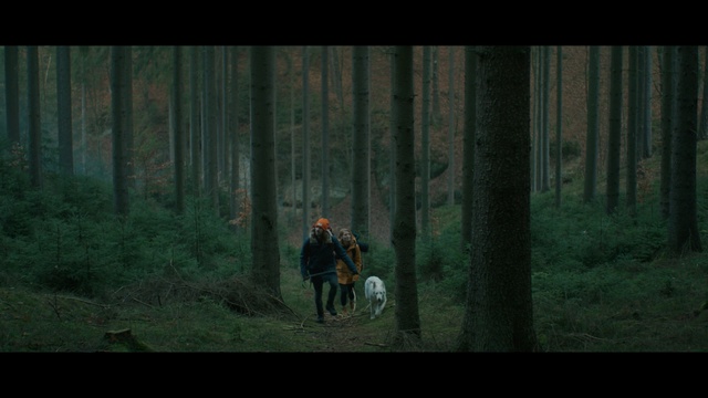 Video Reference: Forest, Woodland, Nature, Natural environment, Tree, Wilderness, Old-growth forest, Biome, Screenshot, Temperate coniferous forest, Person