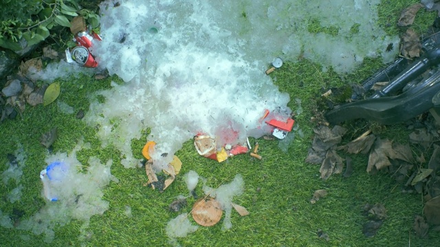 Video Reference: grass, water, leaf, plant, tree, landscape, Person