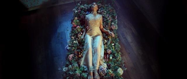 Video Reference: flower, religion, darkness, art, Person