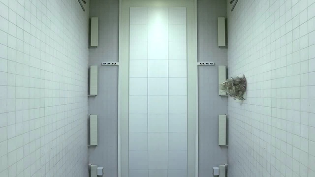 Video Reference: property, wall, door, plumbing fixture, glass, angle, window, bathroom