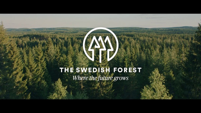 Video Reference: Nature, Vegetation, Natural landscape, Tree, Font, Natural environment, Text, Biome, Nature reserve, Wilderness