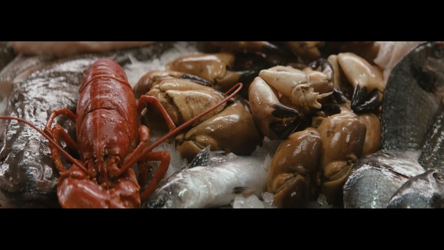 Video Reference: Food, Seafood, Crayfish, Insect, Invertebrate, Seafood boil, Pest, Organism, Crustacean, Cajun food