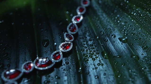 Video Reference: Moisture, Water, Dew, Drop, Green, Red, Macro photography, Leaf, Close-up, Black hair