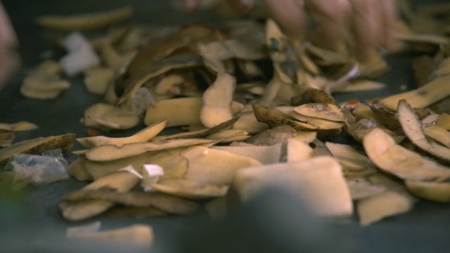 Video Reference: Food, Cuisine, Dish, Indoor, Table, Sitting, Plate, Topped, Cutting, Cake, Chocolate, Sandwich, Laptop, Close, Computer, Pizza, Cheese, Covered, Donut, Toppings, Bowl, Fruit, Knife, White, Board, Salad, Laying, Seafood, Aquarium, Shellfish