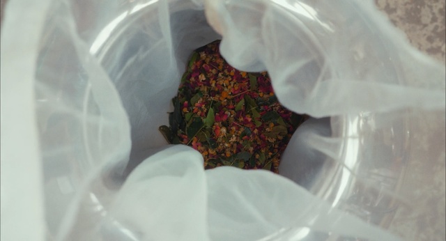 Video Reference: food, close up, seeds