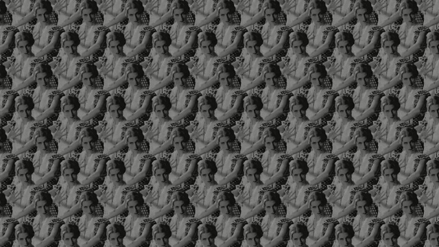 Video Reference: black and white, pattern, soil, rock, material, grass, geology, tree, Person