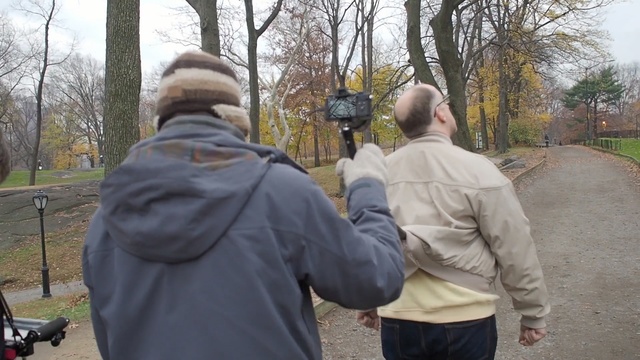 Video Reference: tree, woody plant, car, plant, vehicle, recreation, walking, winter, grass