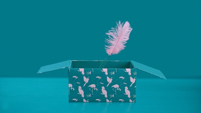 Video Reference: Green, Turquoise, Feather, Illustration, Paper, Rectangle, Table, Paper product, Art