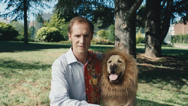 Video Reference: chow, dog, canine, domestic animal, pet, cute, mastiff, Person