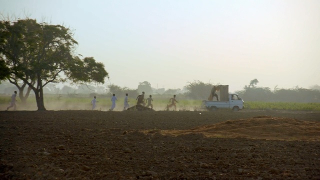 Video Reference: field, soil, morning, rural area, tree, land lot, farm, area, ecoregion, road, Person