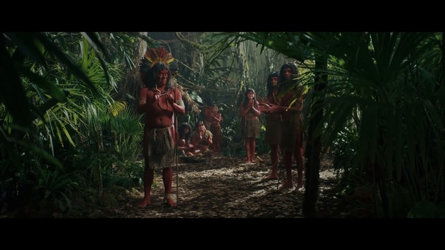 Video Reference: Jungle, Nature, Natural environment, Pc game, Forest, Screenshot, Tree, Woodland, Darkness, Biome