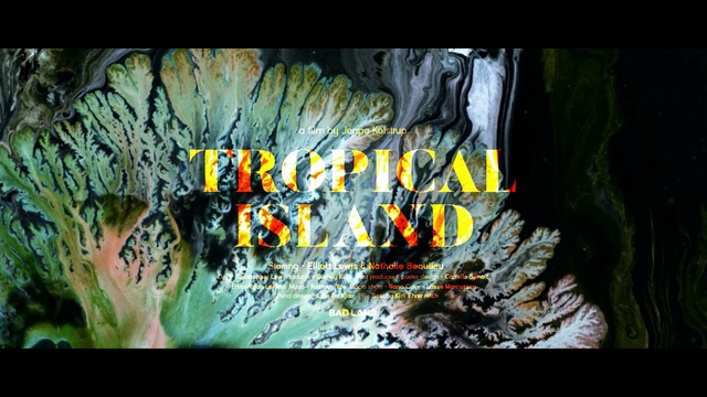 Video Reference: flora, plant, water, tree, organism, computer wallpaper, graphics