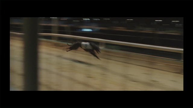 Video Reference: mode of transport, darkness, light, screenshot, atmosphere, line, wood, sky, shadow, midnight