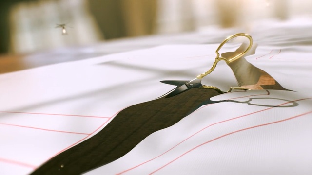 Video Reference: paper, material, flower