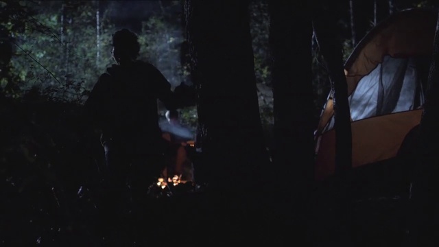 Video Reference: Black, Darkness, Campfire, Light, Fire, Night, Midnight, Forest, Tree, Sky