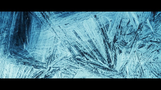 Video Reference: blue, frost, freezing, winter, sky, tree, branch, geological phenomenon, atmosphere, ice