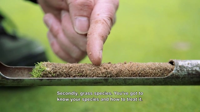 Video Reference: Soil, Adaptation, Grass, Hand, Plant