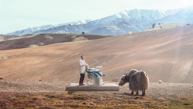 Video Reference: Highland, Yak, Bovine, Herder, Mountain, Working animal, Landscape, Livestock, Plateau, Grassland