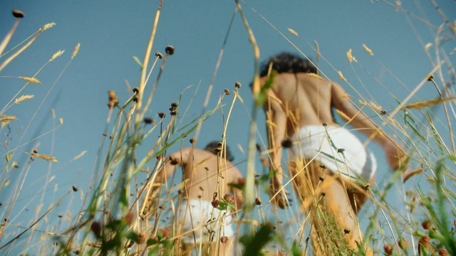 Video Reference: ecosystem, grass, grass family, sky, tree, plant, branch, field, phragmites, girl