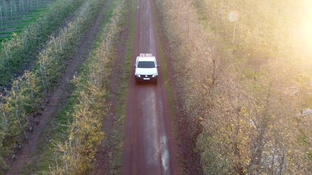 Video Reference: Road, Transport, Thoroughfare, Rural area, Field, Grass, Dirt road, Infrastructure, Grass family, Soil