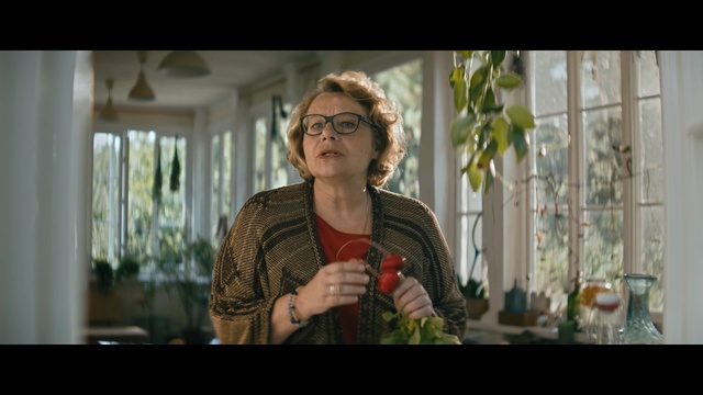 Video Reference: Glasses, Eyewear, Lady, Floral design, Floristry, Vision care, Fun, Smile, Plant, Flower
